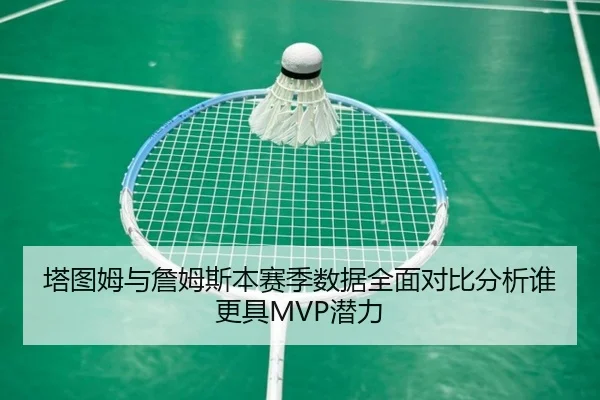 塔图姆与詹姆斯本赛季数据全面对比分析谁更具MVP潜力